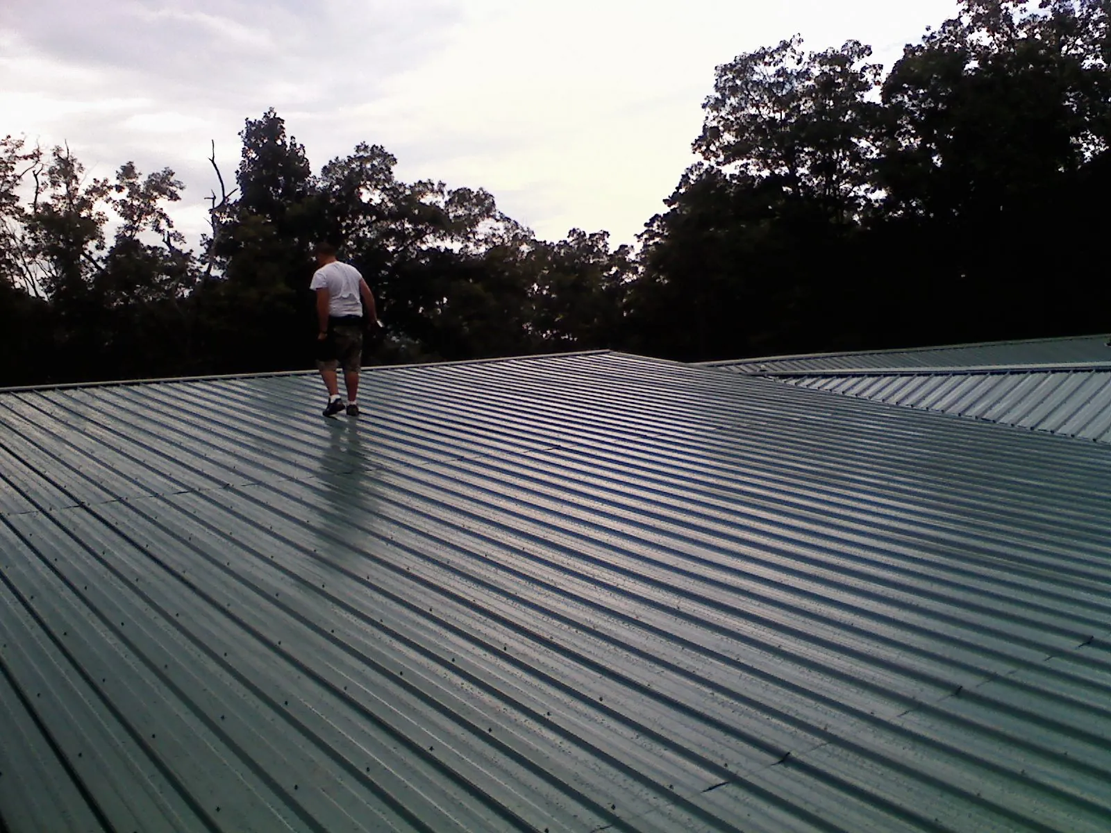 Roofer walking a wide expanse of new green metal roofing in Hornsby